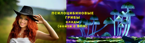 МДПВ Протвино