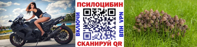 Псилоцибиновые грибы мицелий  купить   Навашино 